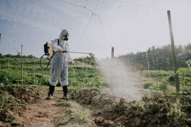 Best Affordable Exterminators  in Cosmopolis, WA