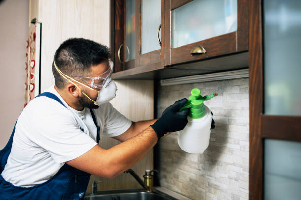 Cosmopolis, WA Pest Control Company