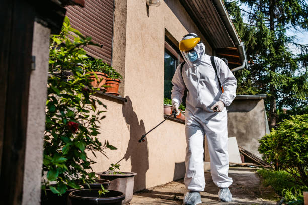Best Bird Control  in Cosmopolis, WA