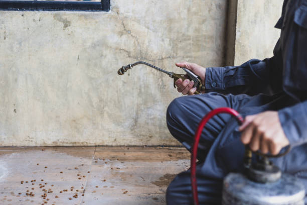Best Best Pest Control Companies  in Cosmopolis, WA